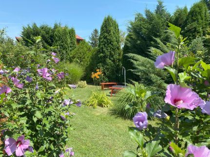 Villa Orchidea9