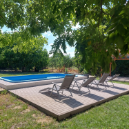 Szárcsa Apartman