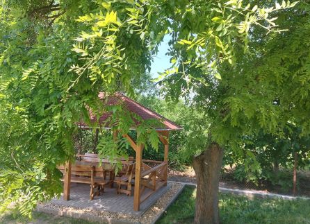 Szárcsa Apartman14