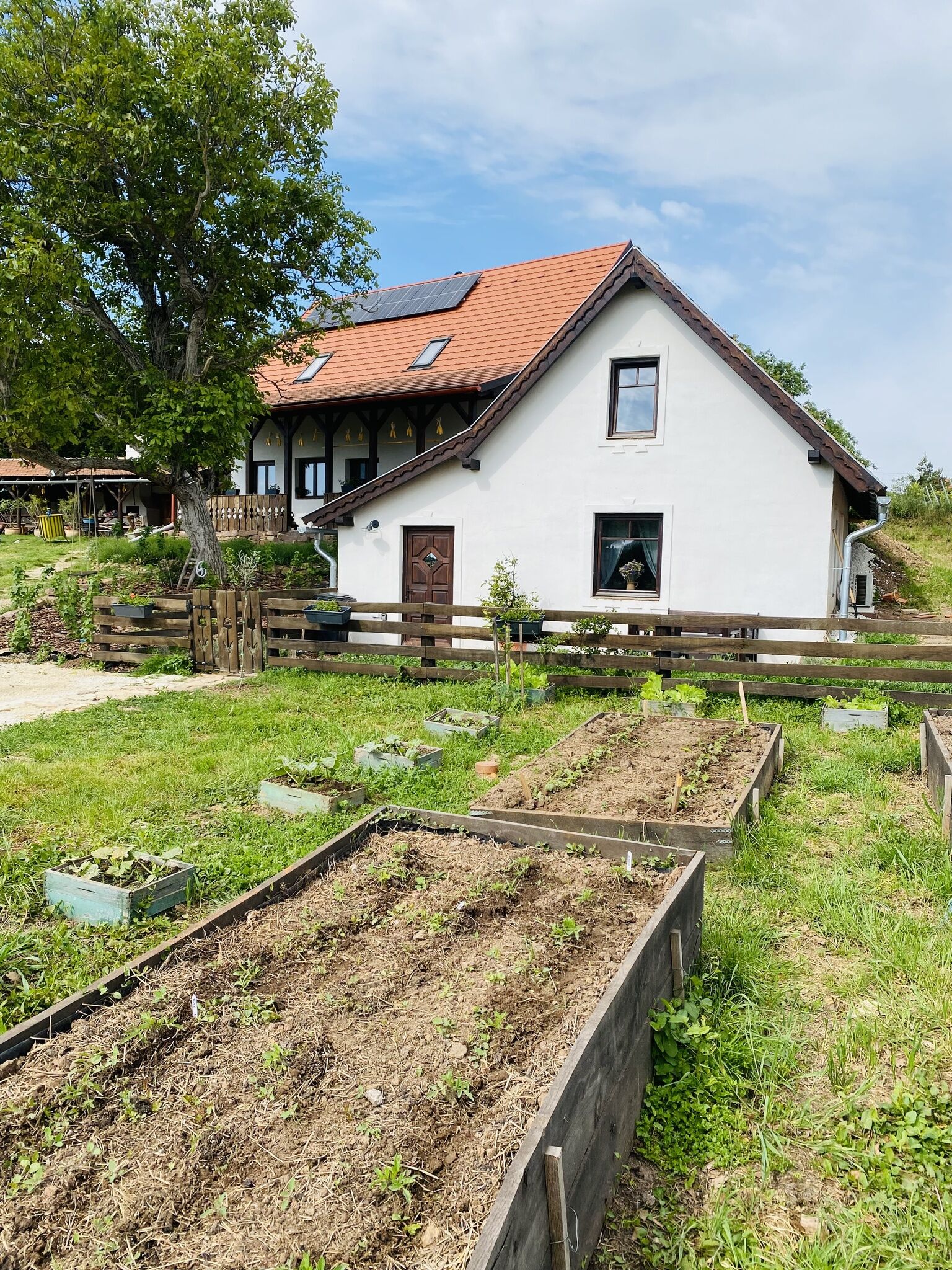 Illés Méhészet és Vendégház – Felsőörs fotó 1