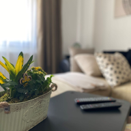 Zöld Ajtó Apartman