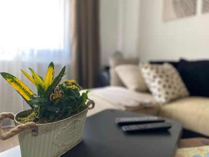 Zöld Ajtó Apartman