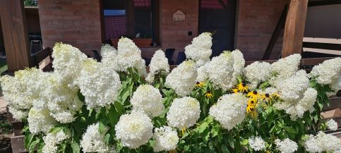 Betyár Apartmanházak10