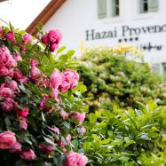 Hazai Provence Panzió