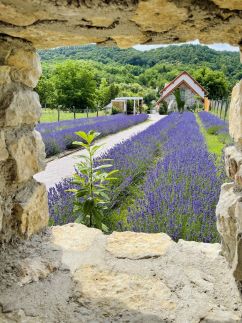 Hazai Provence Panzió6