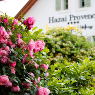 Hazai Provence Panzió