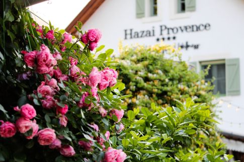 Hazai Provence Panzió