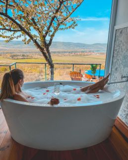 Romantic Rose Viewhouse3