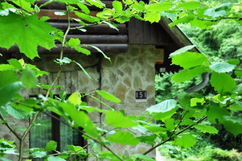 Patak Dream House34