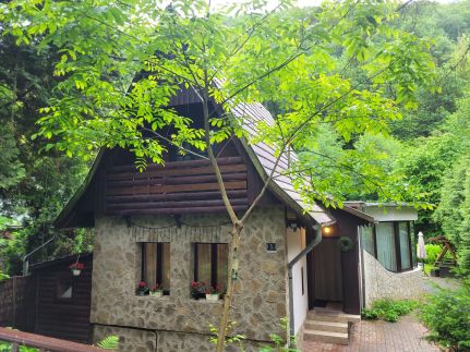 Patak Dream House41