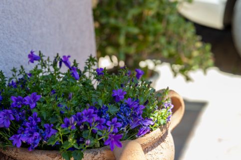 Aranyforrás Wellness Vendégház14