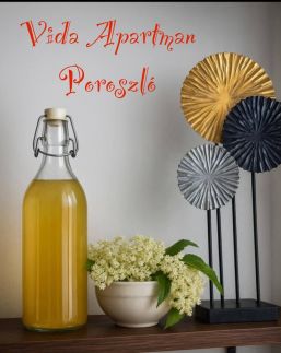 Vida Apartman7