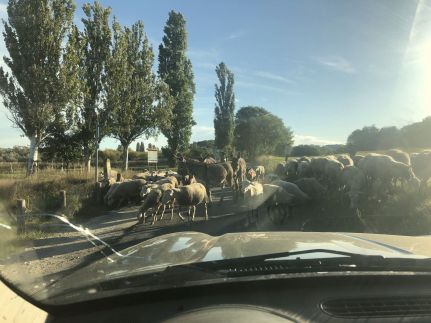 Sajkod-az Öböl Csendje Apartman17