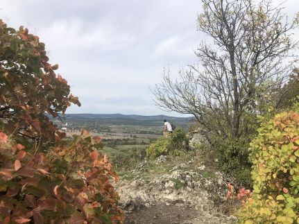 Sajkod-az Öböl Csendje Apartman19