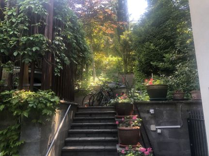 Sajkod-az Öböl Csendje Apartman3