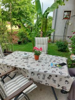Erika Apartman Szentgyörgyvölgy5