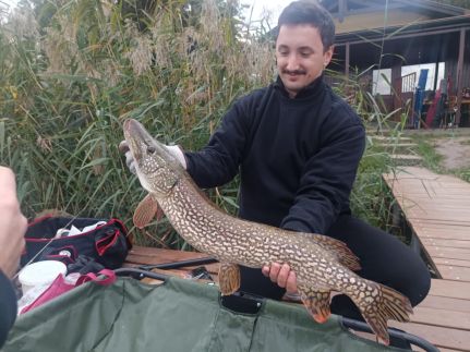 Jack Fish Beach Vendégház10
