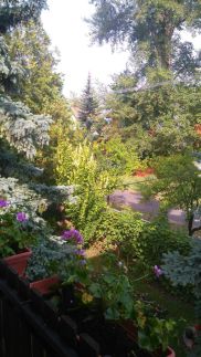 Ezüstfenyő Apartman3