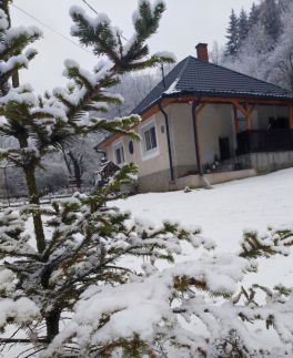 Saslás Vendégház35