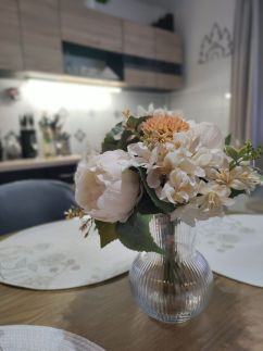 Saslás Vendégház37