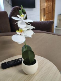 Saslás Vendégház40