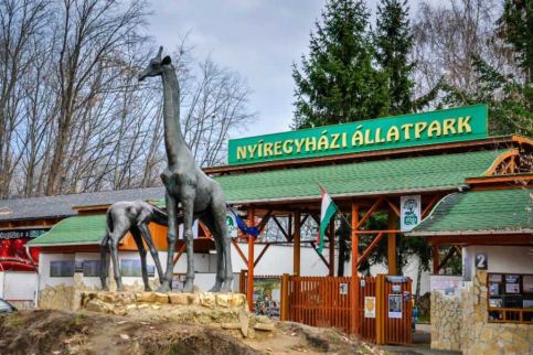 Szalamandra Residence Apartman12