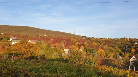 Hillside Cottage18