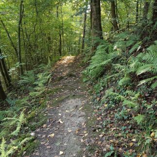 Budafai Vendégház31