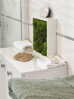 TemOro Apartman Green10