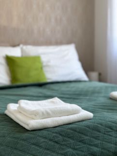 TemOro Apartman Green5