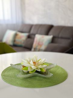 TemOro Apartman Green6