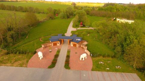 Elefántos Vendégház6