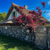 Zanzara Guesthouse