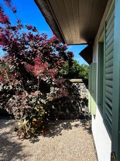 Zanzara Guesthouse2