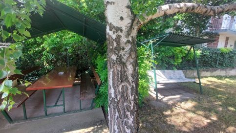 Fenyőrigó Apartman1
