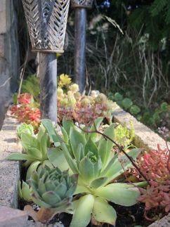 A bohó Vándor Vendégház41