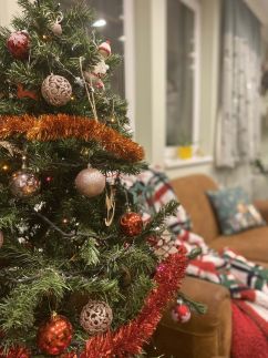 Trófeás Vendégház Kelemér25