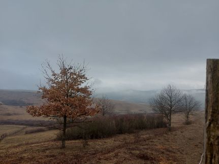 Trófeás Vendégház Kelemér23