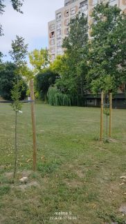 Magaslak Apartman3