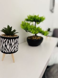 Paloma Blanca Apartman35
