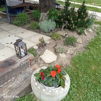 Fecske Apartman Felsőpáhok9