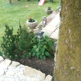 Fecske Apartman Felsőpáhok6