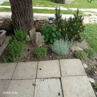 Fecske Apartman Felsőpáhok7