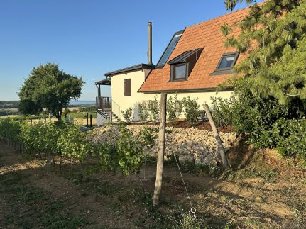 Csipetnyi Chill Vendégház13