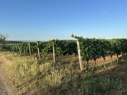Csipetnyi Chill Vendégház14