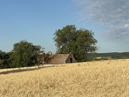 Csipetnyi Chill Vendégház25