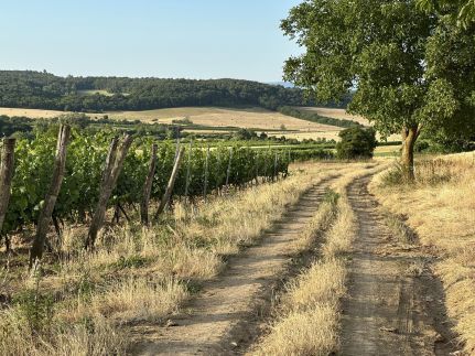 Csipetnyi Chill Vendégház26