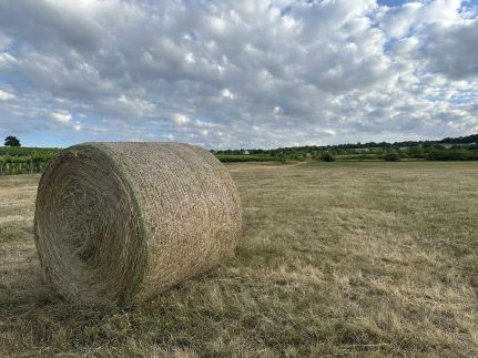 Csipetnyi Chill Vendégház28