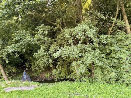 Csenkő Vendégház11