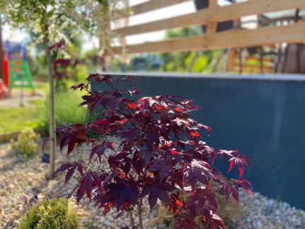 Napfény Vendégház9